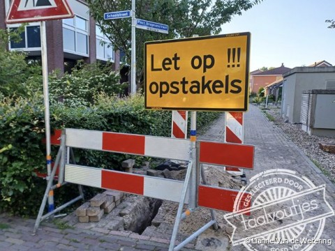 2022 0617_Procurios_Lianne-van-de-WeteringOpstakels_Obstakels.jpg