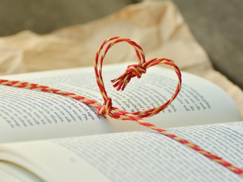 0_Leeskring-Pixabay-congerdesign-a-book-1760998_1920.jpg